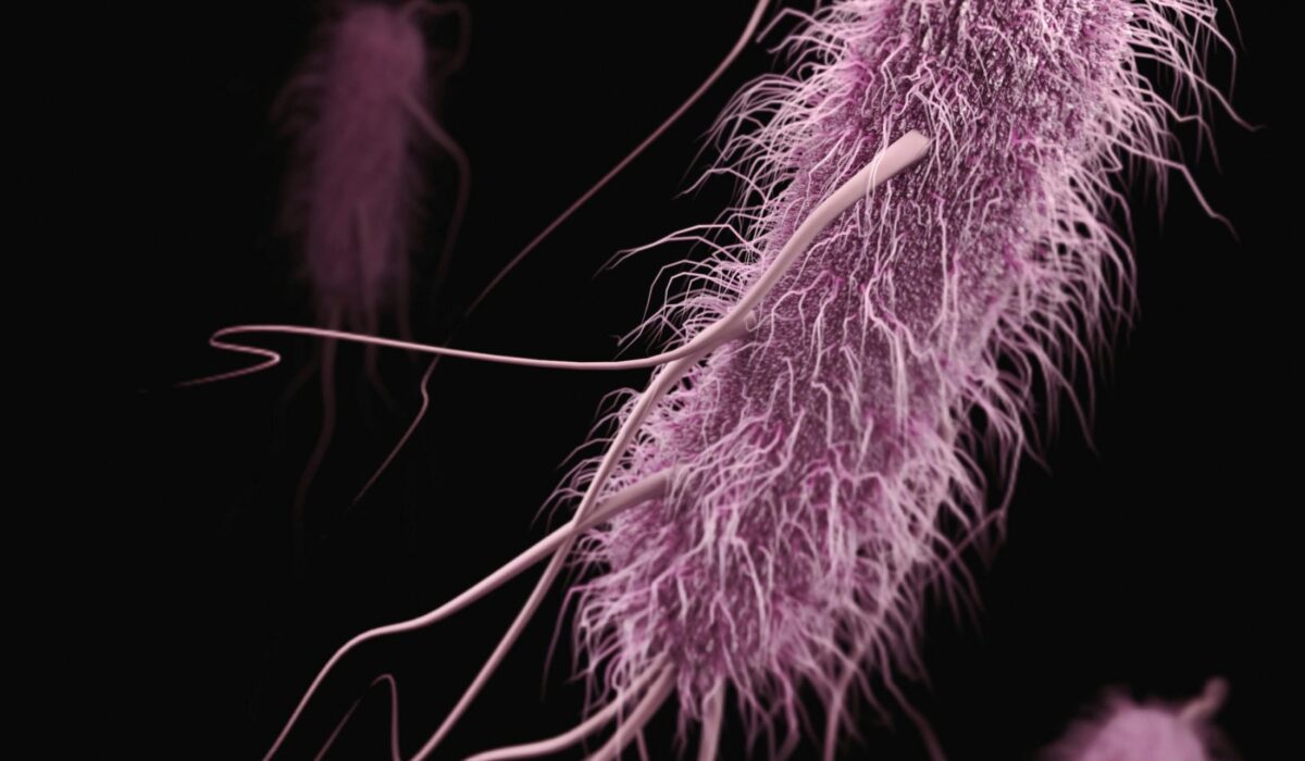 Stanford Evo 2 AI model generates phages against E. coli